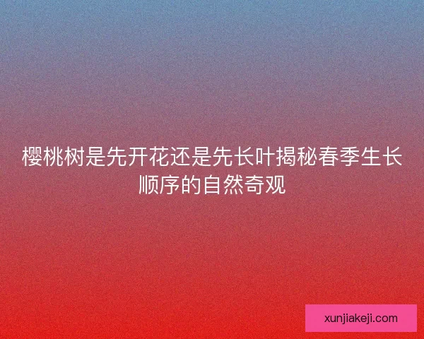 樱桃树是先开花还是先长叶揭秘春季生长顺序的自然奇观