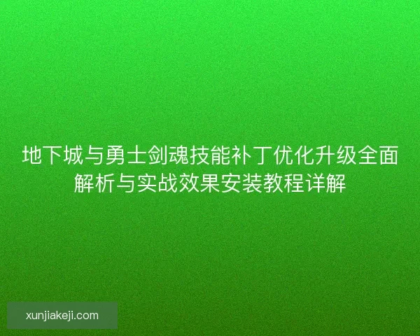 地下城与勇士剑魂技能补丁优化升级全面解析与实战效果安装教程详解